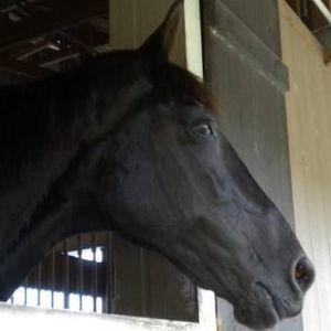 Meet your Posher, Chelsey